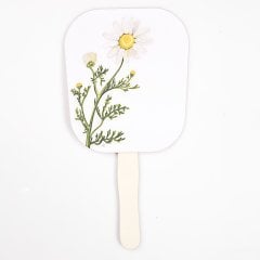 Anthemis Arvensis Yelpaze