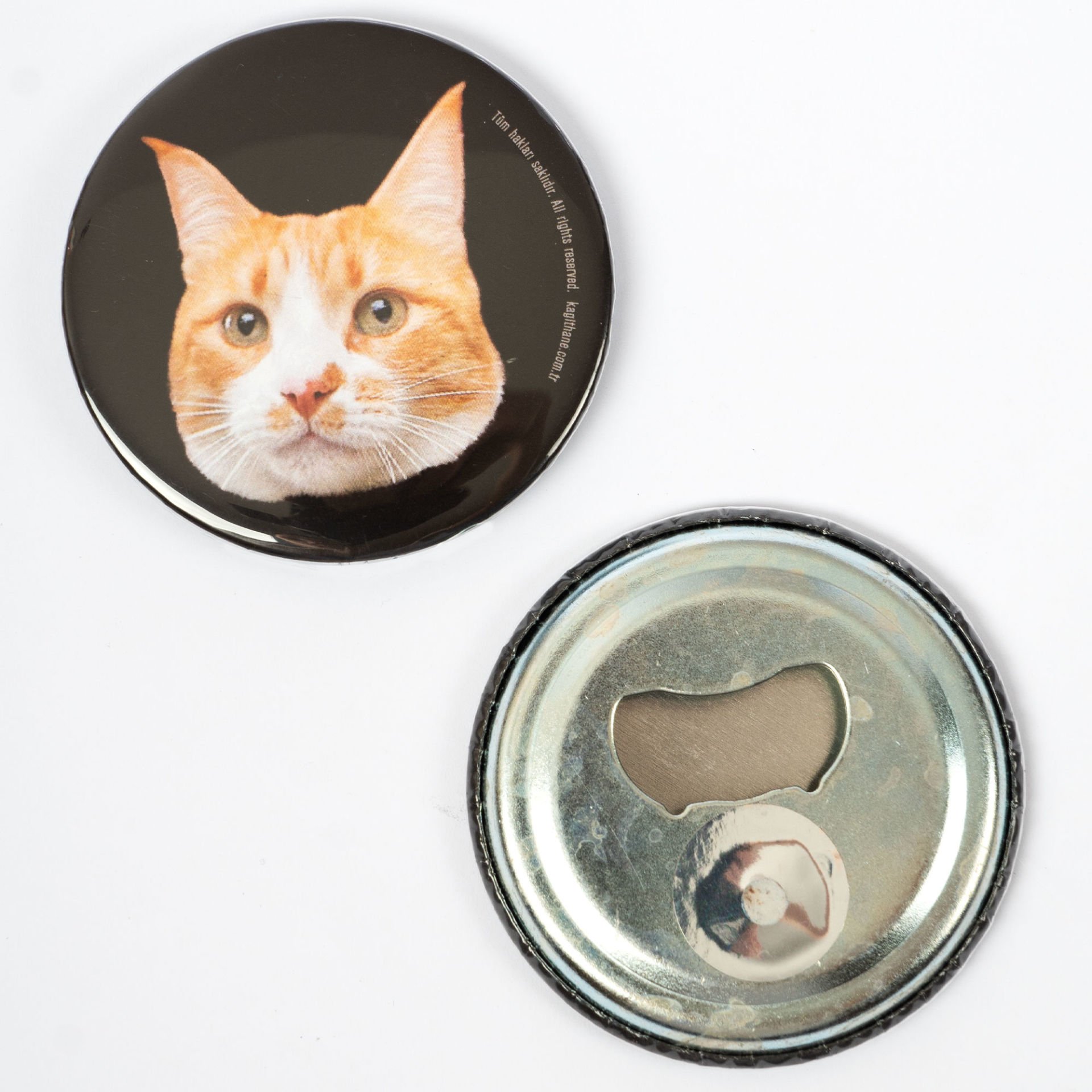 Kedi Magnetler Sarışın