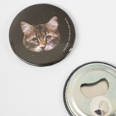 Kedi Magnetler Patis