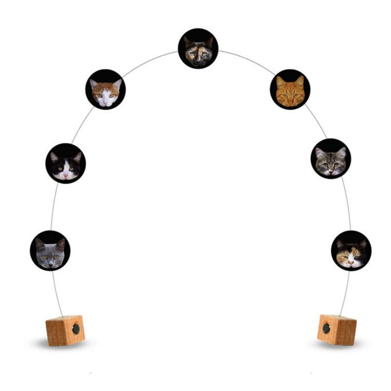 İstanbul Kedileri Neşeli Magnet