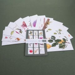 Flora Araştırmalar Derneği Kartpostal Seti - No.1