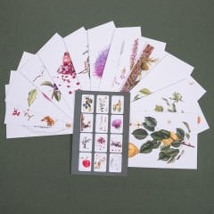 Flora Araştırmalar Derneği Kartpostal Seti - No.1