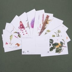 Flora Araştırmalar Derneği Kartpostal Seti - No.1
