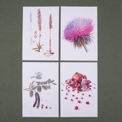 Flora Araştırmalar Derneği Kartpostal Seti - No.1