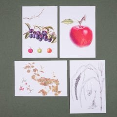 Flora Araştırmalar Derneği Kartpostal Seti - No.1