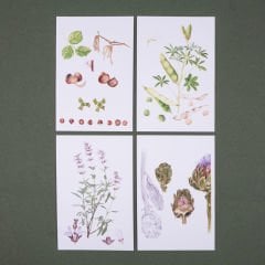 Flora Araştırmalar Derneği Kartpostal Seti - No.2