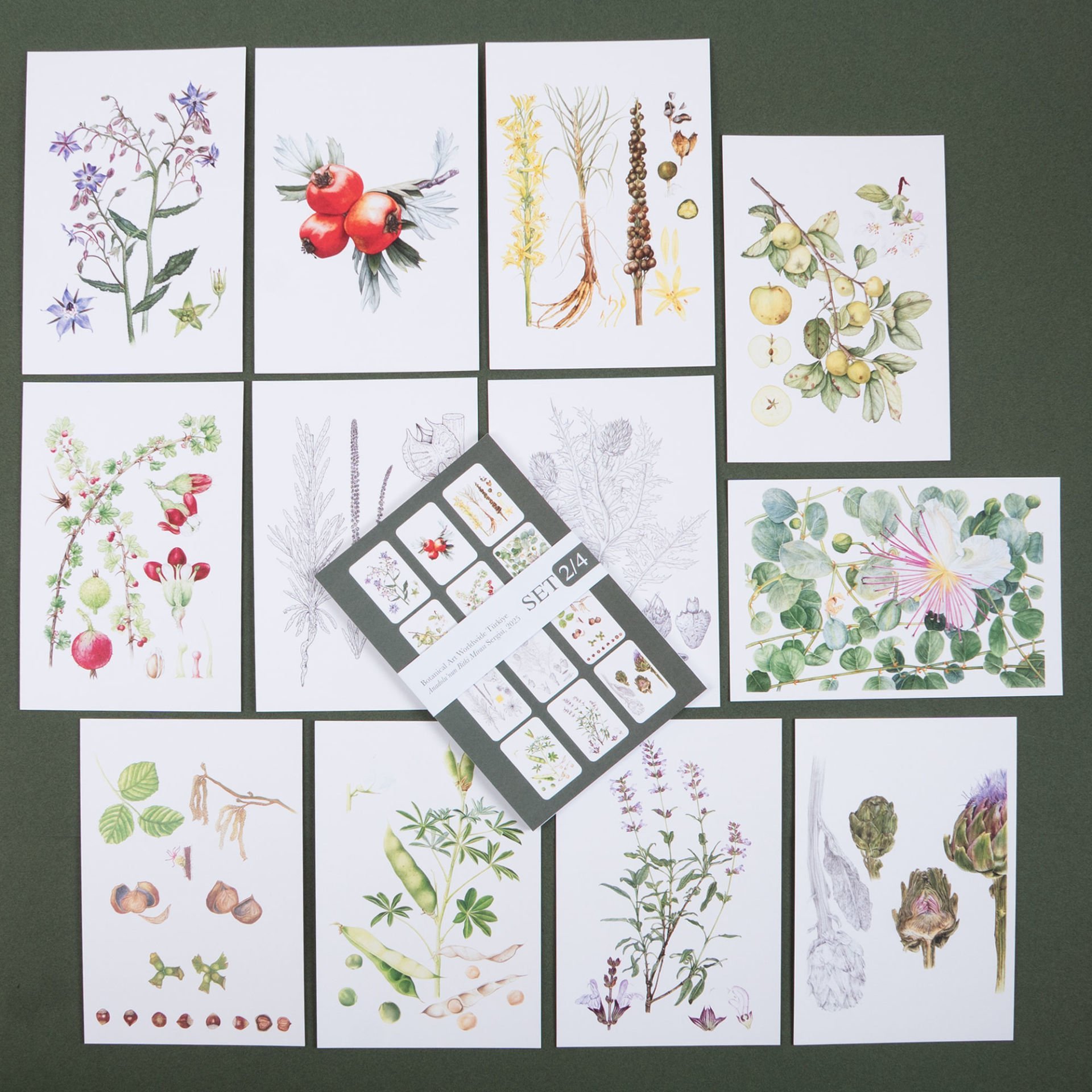 Flora Araştırmalar Derneği Kartpostal Seti - No.2