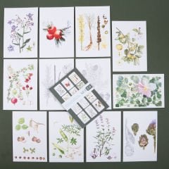 Flora Araştırmalar Derneği Kartpostal Seti - No.2