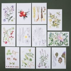 Flora Araştırmalar Derneği Kartpostal Seti - No.2