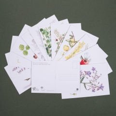 Flora Araştırmalar Derneği Kartpostal Seti - No.2