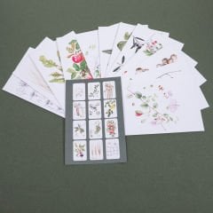 Flora Araştırmalar Derneği Kartpostal Seti - No.3