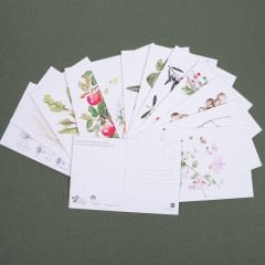 Flora Araştırmalar Derneği Kartpostal Seti - No.3