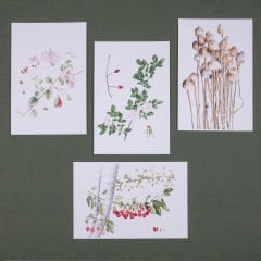 Flora Araştırmalar Derneği Kartpostal Seti - No.3
