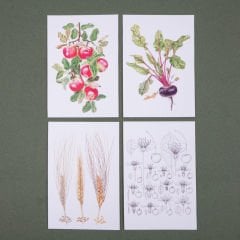 Flora Araştırmalar Derneği Kartpostal Seti - No.3