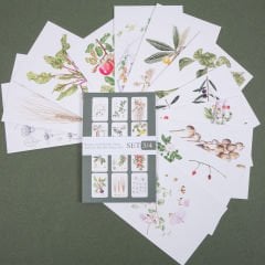 Flora Araştırmalar Derneği Kartpostal Seti - No.3