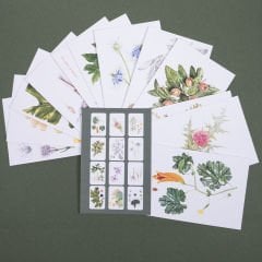 Flora Araştırmalar Derneği Kartpostal Seti - No.4