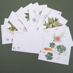 Flora Araştırmalar Derneği Kartpostal Seti - No.4