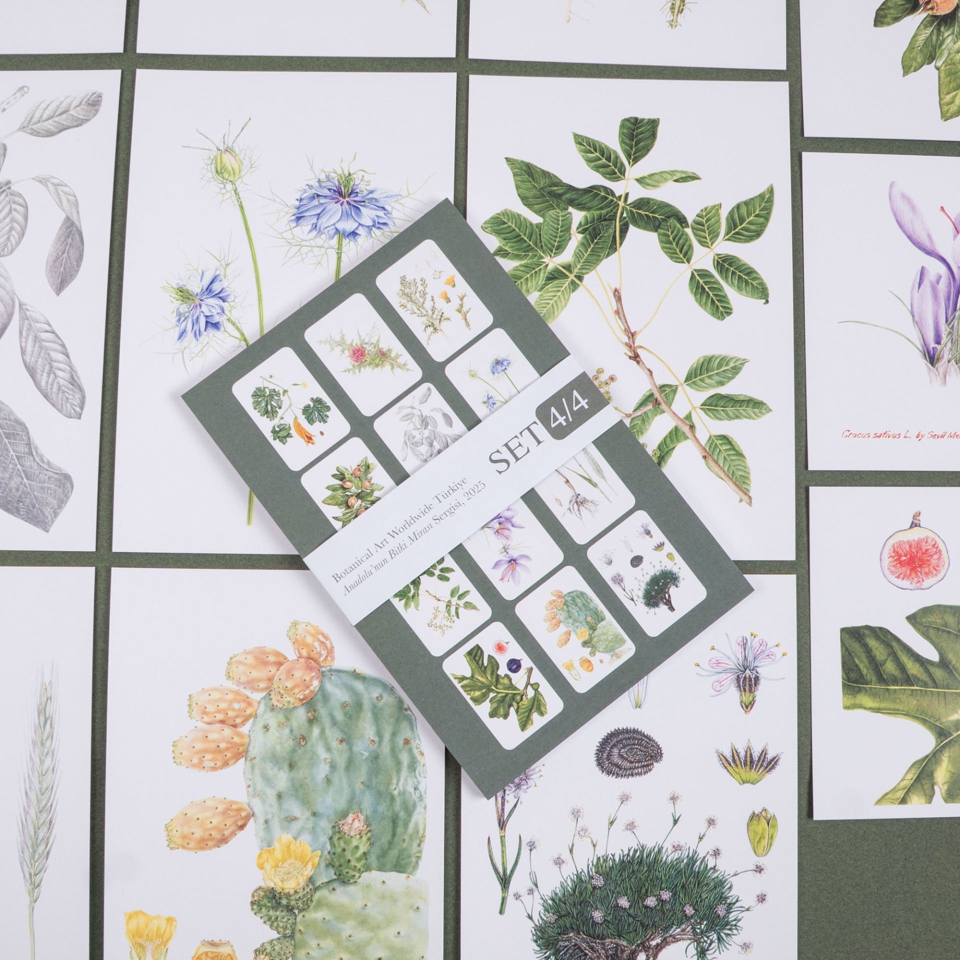 Flora Araştırmalar Derneği Kartpostal Seti - No.4