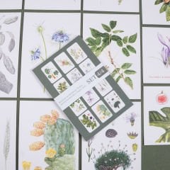 Flora Araştırmalar Derneği Kartpostal Seti - No.4