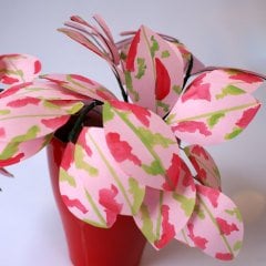 Çilli Yaprak Çiçeği - Kâğıt Çiçek
