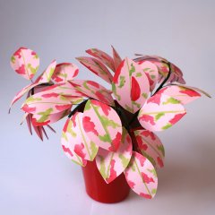 Çilli Yaprak Çiçeği - Kâğıt Çiçek