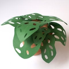 Maymun Maskesi - Kâğıt Çiçek