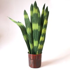 Paşa Kılıcı - Kâğıt Çiçek