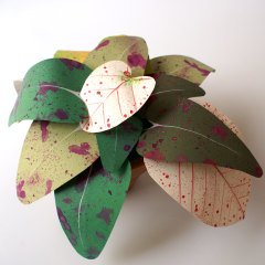 Mixed Syngonium – Melek Kanadı Kâğıt Çiçek