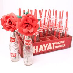 Hayatımsın Gazoz Kasa ve Şişeleri Kasa ve Şişeler