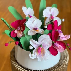 Vazoda Orkide Aranjmanı