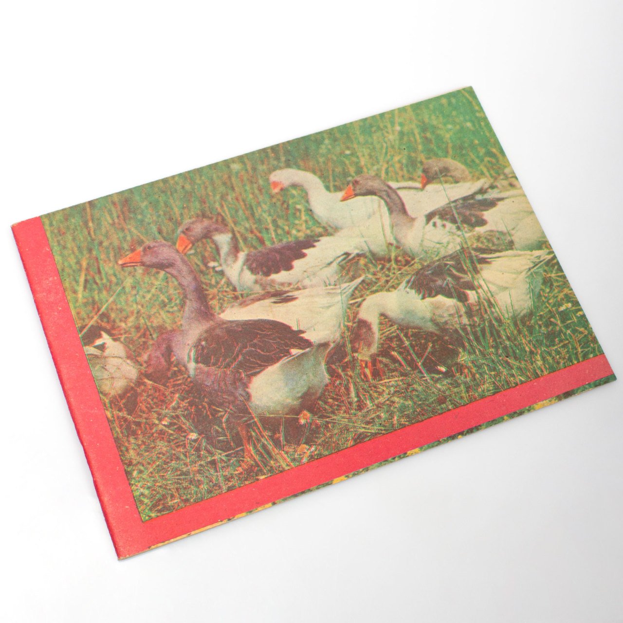 Kazlı Resim Defteri