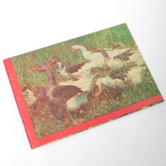 Kazlı Resim Defteri