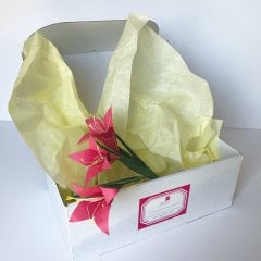 Lilyum - Üçlü Demet