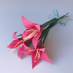 Lilyum - Üçlü Demet