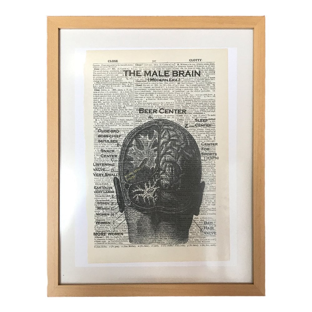 Male Brain