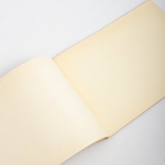 Eski İstanbulda Balıkçılar Resim Defteri