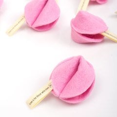 Keçe Dilek Kurabiyesi / Sevgi