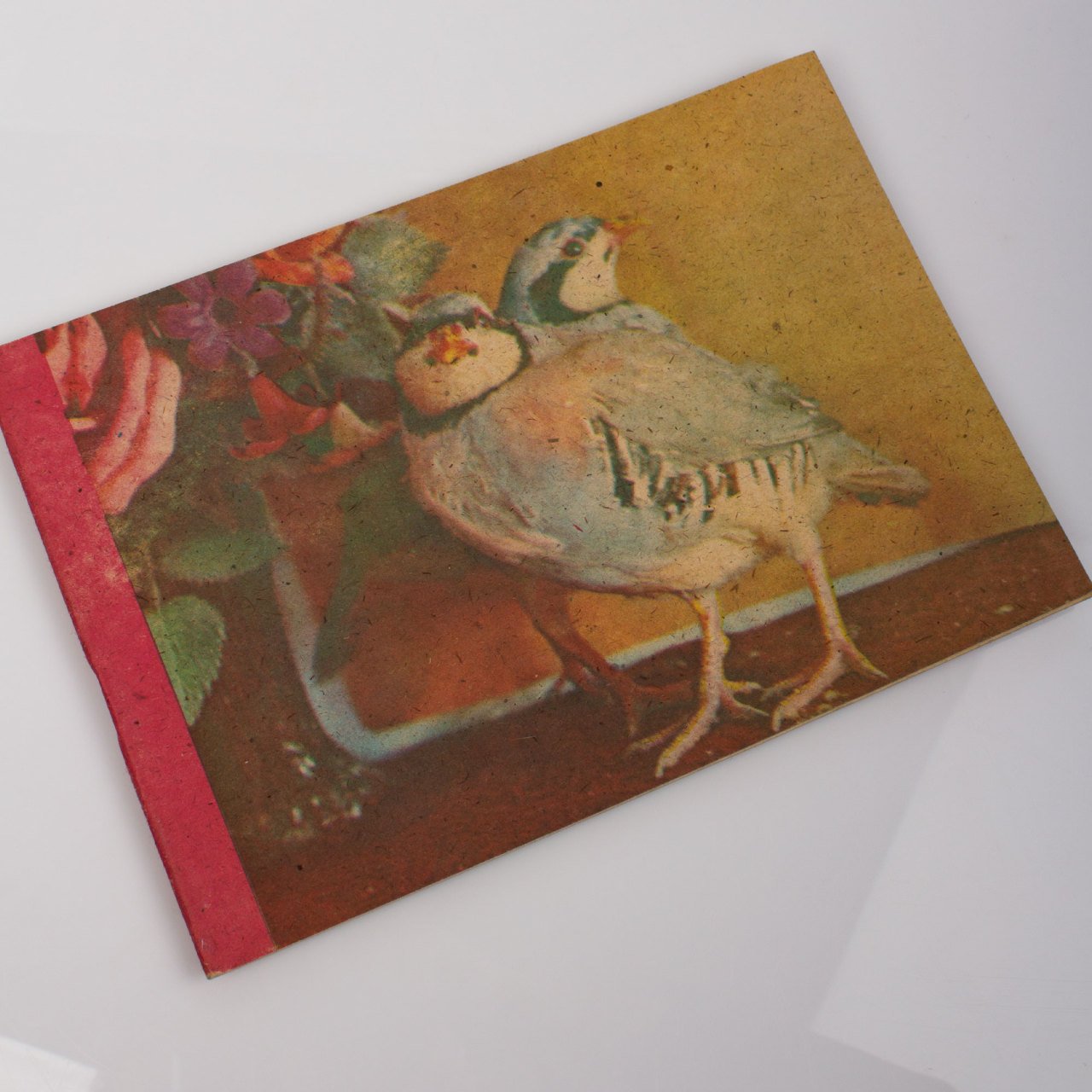 İki Küçük Kuş Resim Defteri