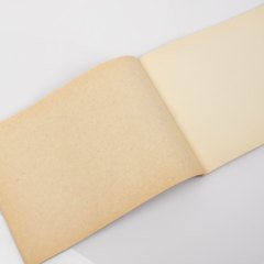 Sümbüllü Resim Defteri