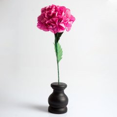 Siyah Vazosunda Pembe Ortanca