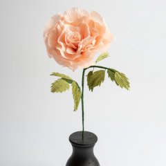 Siyah Vazosunda Pembe Gül