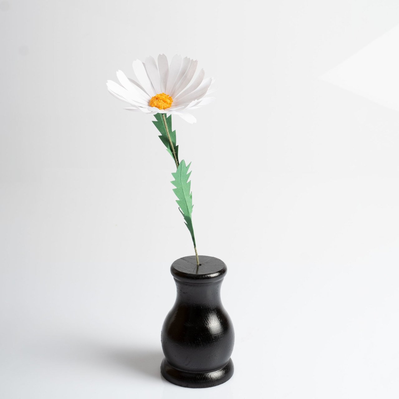 Siyah Vazosunda Papatya