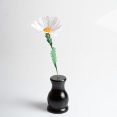 Siyah Vazosunda Papatya