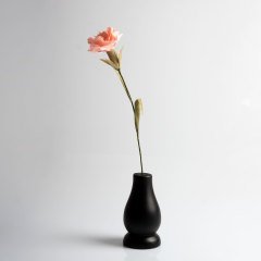 Siyah Vazosunda Pembe Karanfil