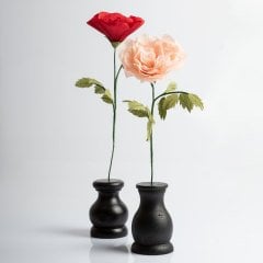 Siyah Vazosunda Kırmızı Gül