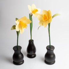 Siyah Vazosunda Nergis