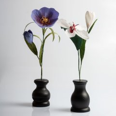 Siyah Vazosunda Mor Çiçek