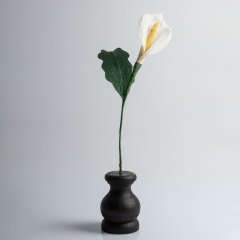 Siyah Vazosunda Kala