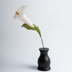 Siyah Vazosunda Kala