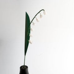 Siyah Vazosunda Müge Çiçeği